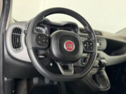										FIAT PANDA 1.2 BENZ/GPL 69 CV LOUNGE full									