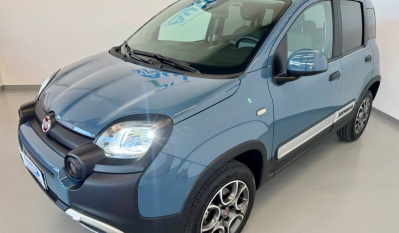 								FIAT PANDA CROSS 4X4 full									