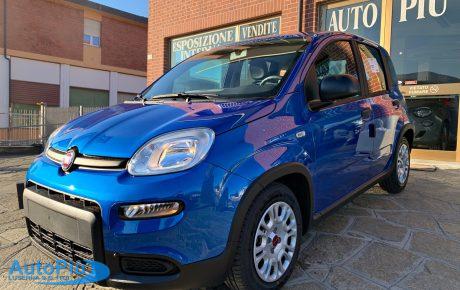 FIAT PANDA 1.0 FireFly S&S Hybrid 70 CV KM 0 2024