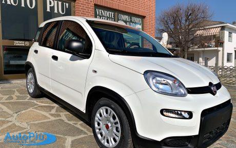 FIAT PANDA 1.0 FireFly S&S Hybrid 70 CV KM 0 2024